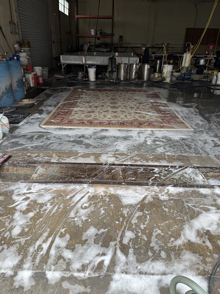 Area rug with red border during a full wash