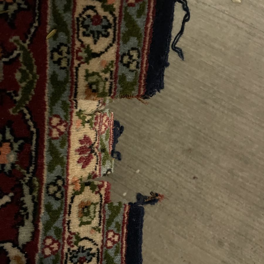 Burgundy rug with chewed, missing edge